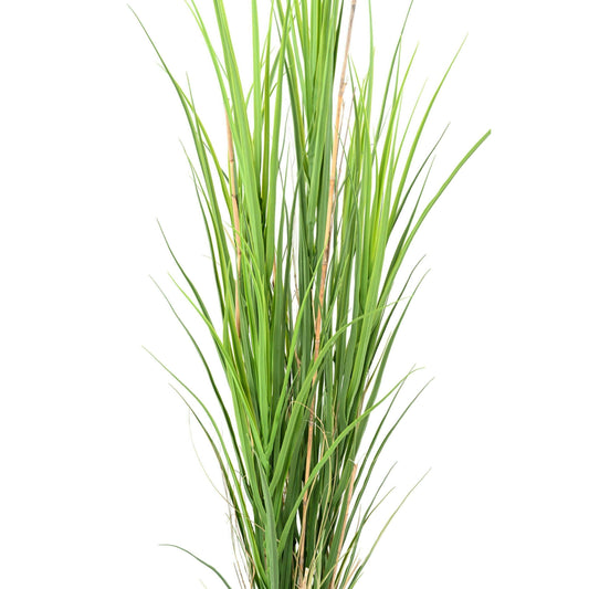 Herbe artificielle large UV résistant - intérieur extérieur - H.165cm