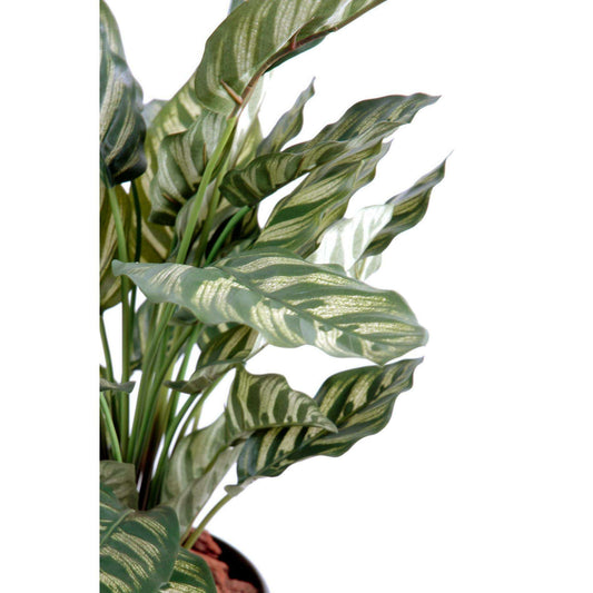Maranta artificiel Calathea Makoyana - plante verte d'intérieur - H.56cm