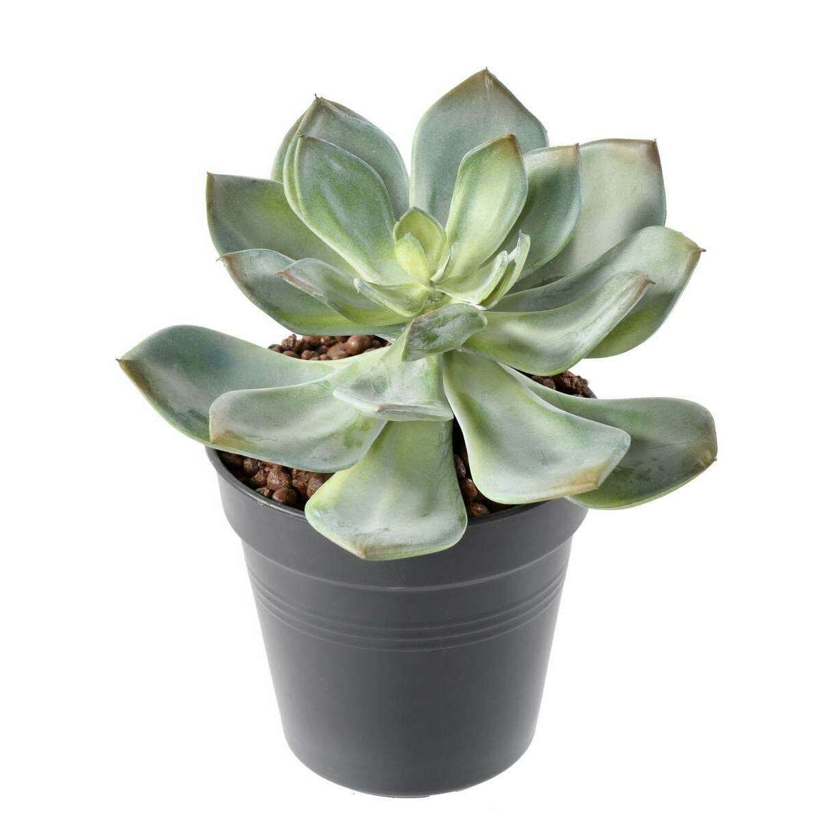 Mini plante artificielle Succulente - cactus artificiel intérieur - H.12cm