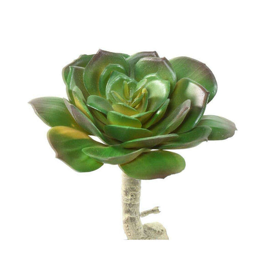 Mini plante artificielle Succulente ROND - cactus artificiel intérieur - H.15cm
