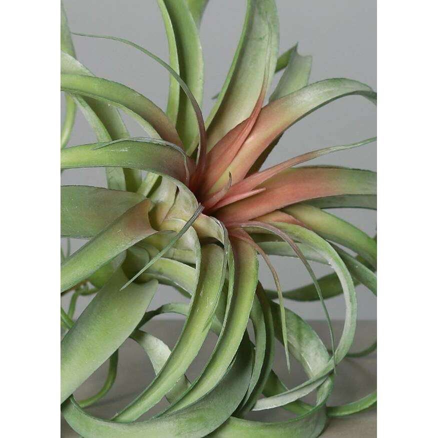 Mini plante artificielle Tillandsia en piquet - décoration d'intérieur - H.28cm