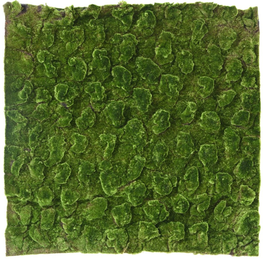 Mousse artificielle new plaque 100*100