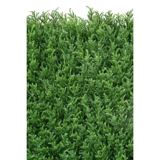 Mur végétal artificiel Cyprès - décoration murale - 50x50 cm vert