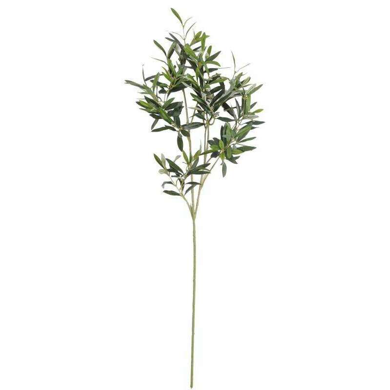 Olivier branche sans fruits 90cm