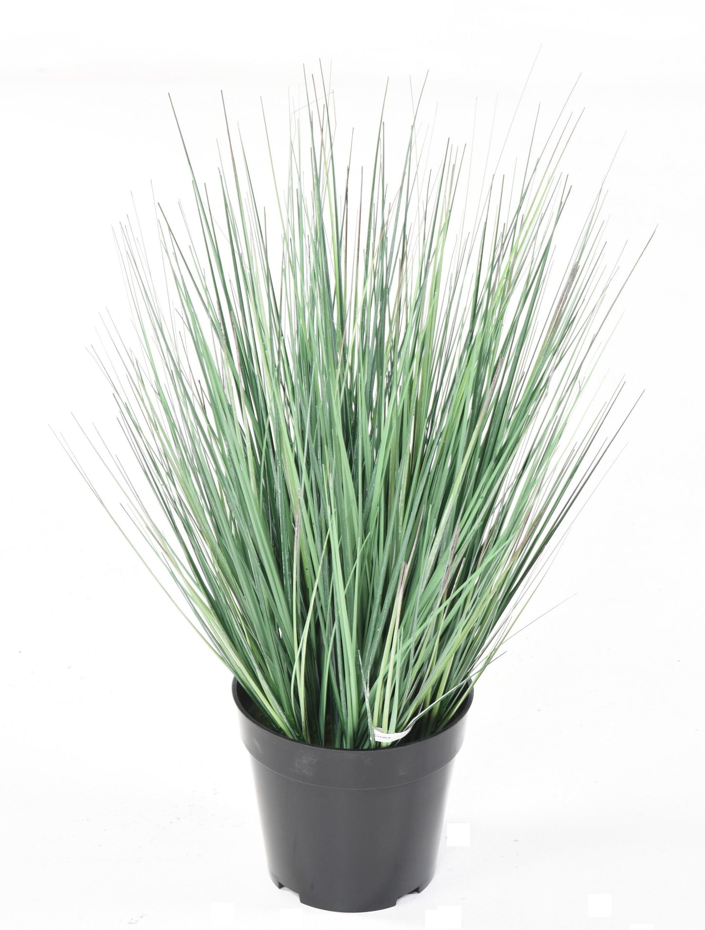 Plante artificielle Herbe Onion grass New en pot - intérieur - H.55cm vert/blanc