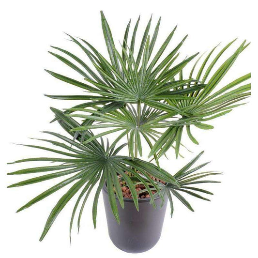 Palmier artificiel baby en piquet - fausse plante d'intérieur - H.53cm