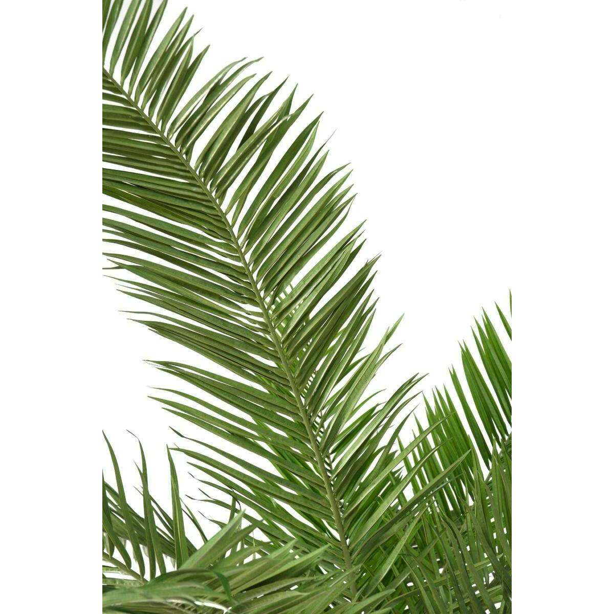 Palmier artificiel Canarie - arbre tropical pour intérieur - H.350cm - P