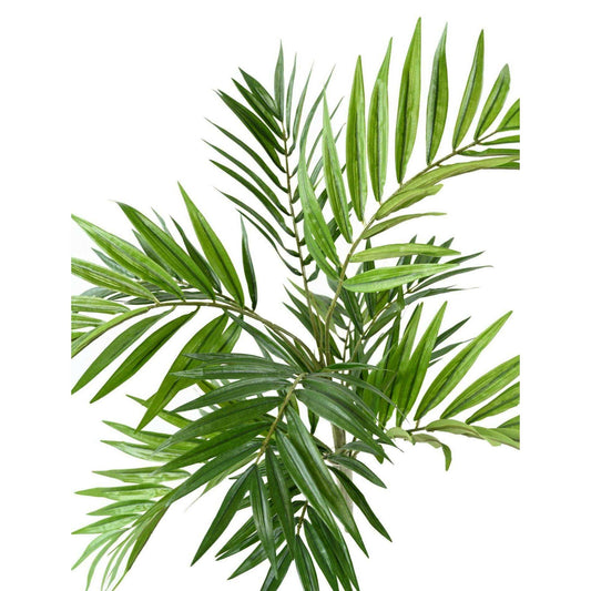 Palmier artificiel Chamaeodorea 196 feuilles en piquet - intérieur - H.50cm