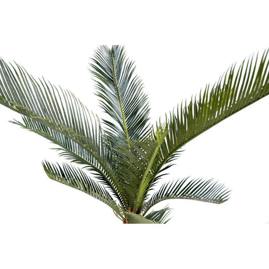 Palmier artificiel Cycas baby 10 feuilles - intérieur extérieur - H.60cm vert