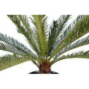 Palmier artificiel Cycas géant 15 palmes - plante d'intérieur - H.100cm vert