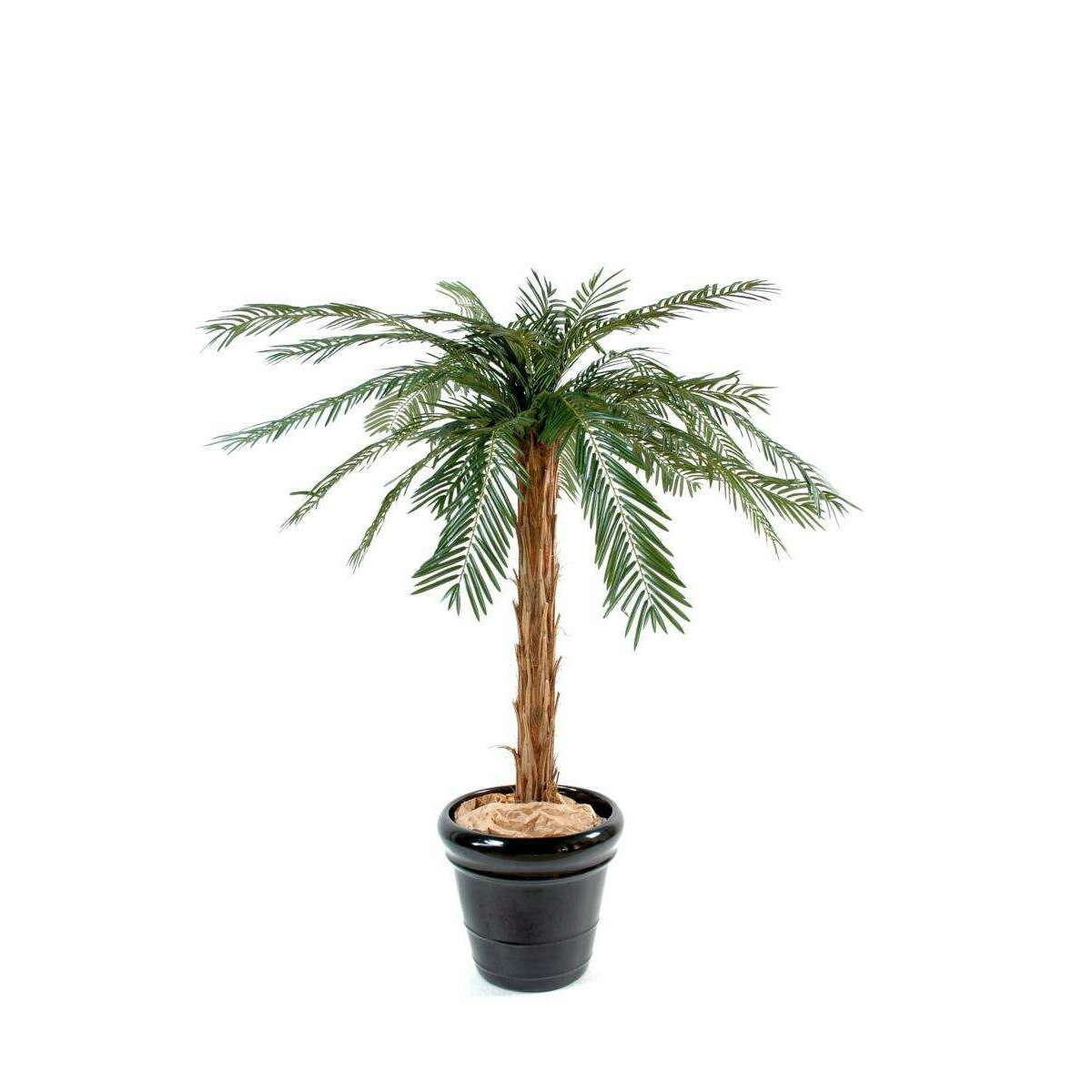 Palmier artificiel Cycas Palm - plante intérieur - H.170cm vert