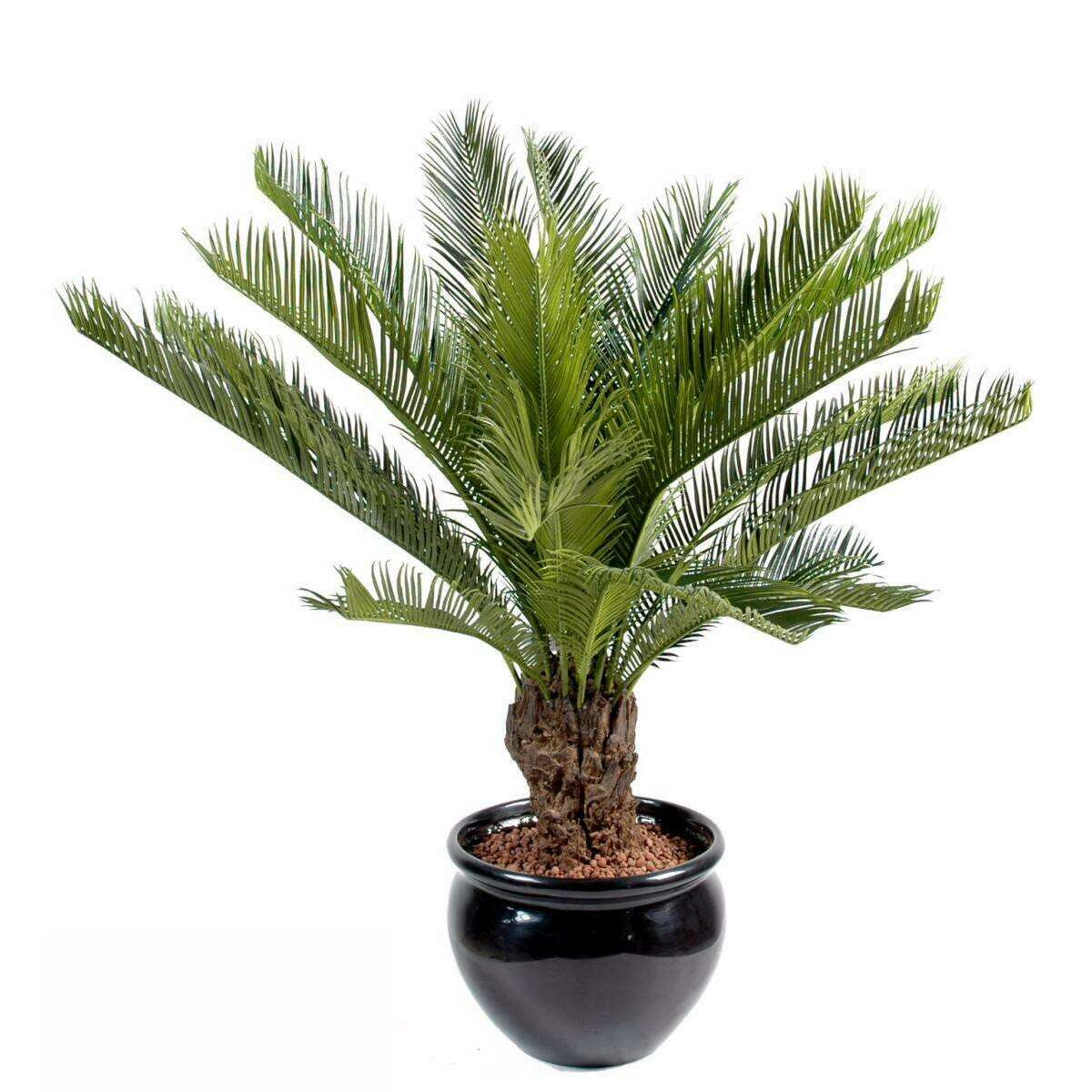 Palmier artificiel Cycas tronc - plante intérieur extérieur - H.90cm vert