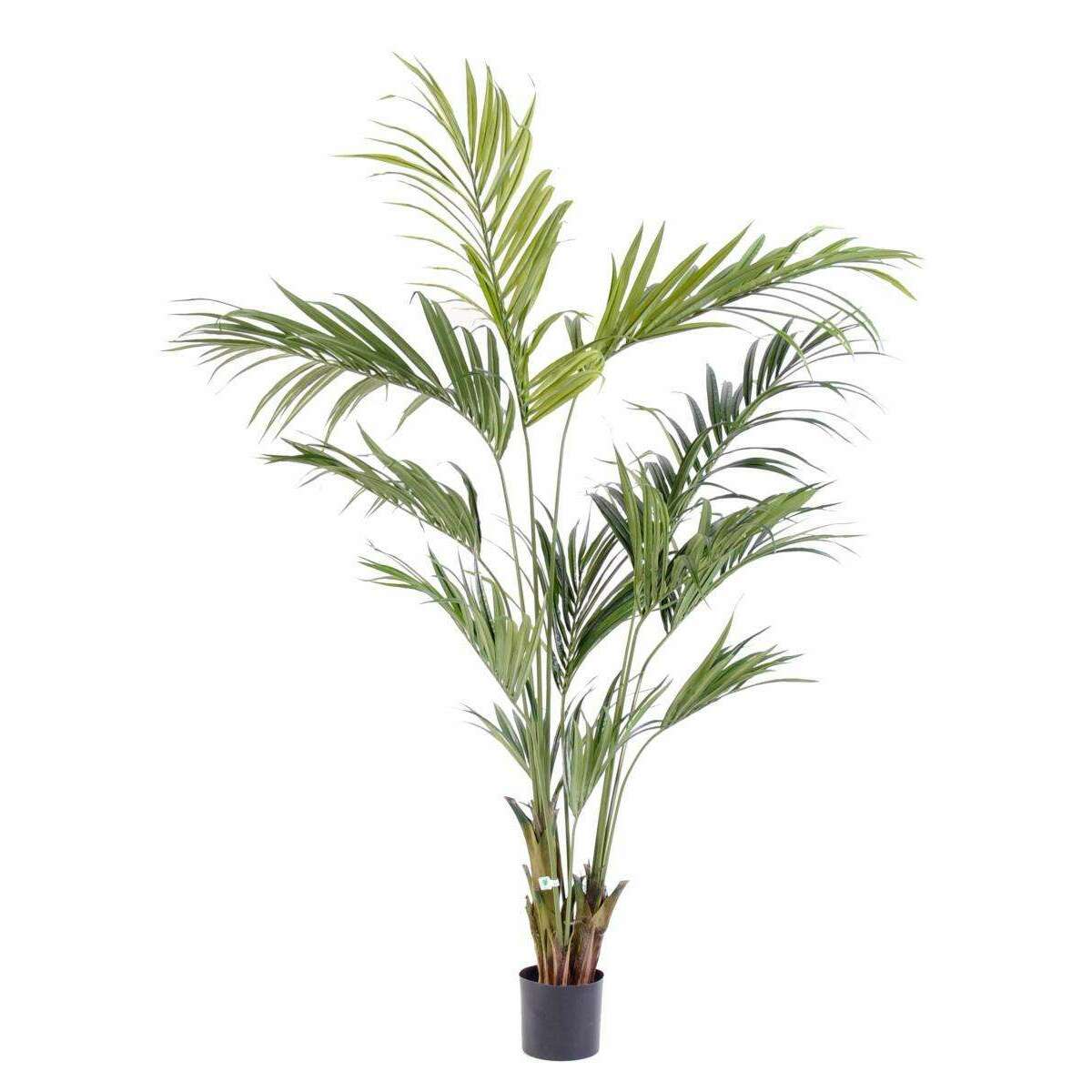 Palmier artificiel kentia Palm - décoration d'intérieur - H.210cm vert