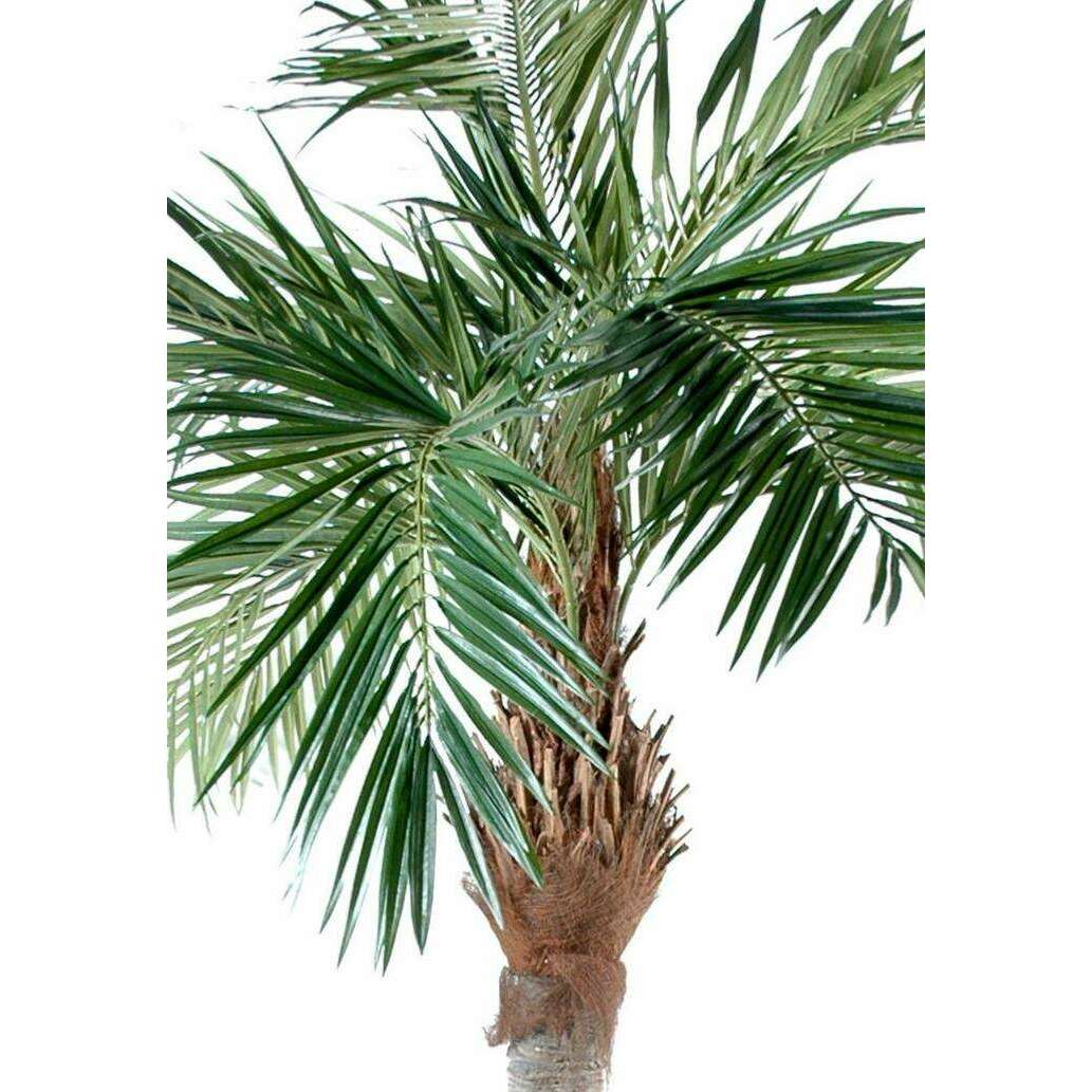 Palmier artificiel Majesty - arbre tropical luxe - H.250cm vert