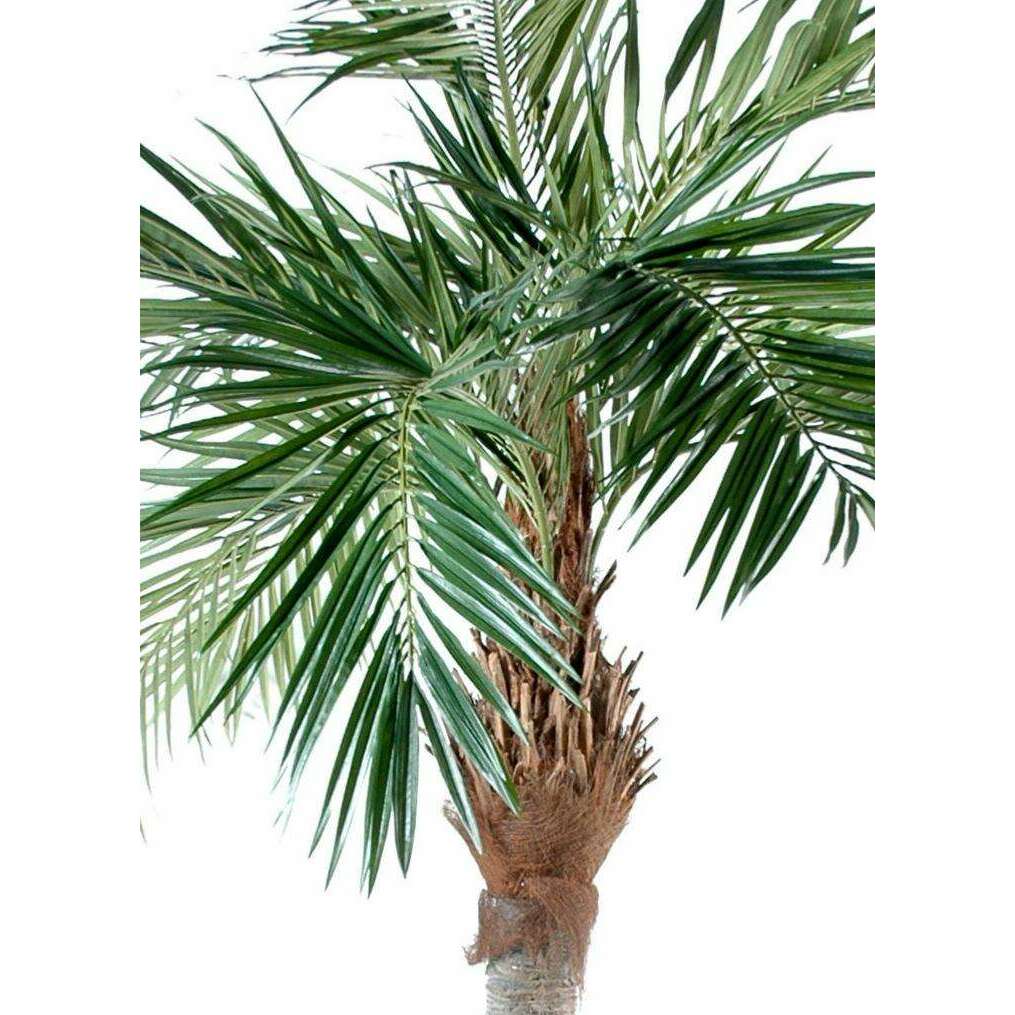 Palmier artificiel Majesty - arbre tropical luxe - H.320cm vert