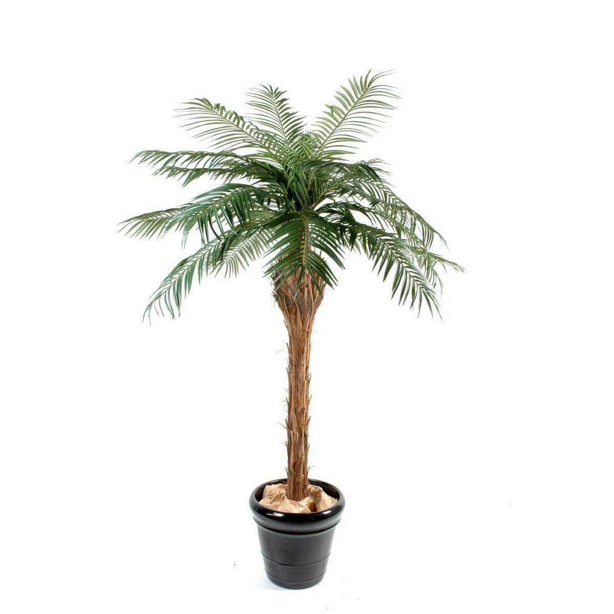 Palmier artificiel Phoenix - plante artificielle d'intérieur - H.210cm vert