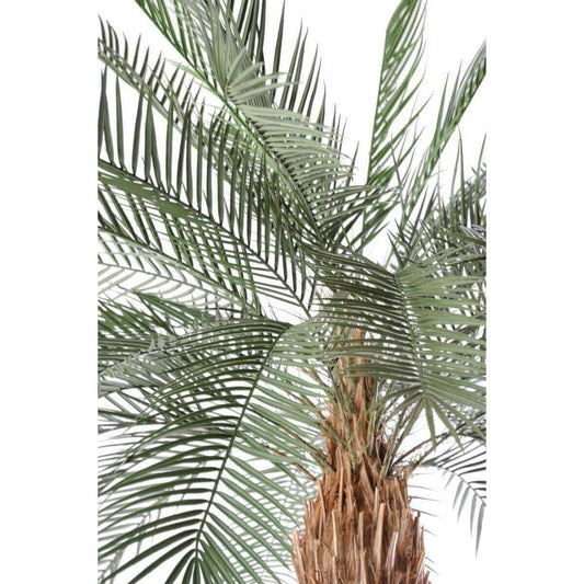 Palmier artificiel Phoenix tronc large - arbre pour extérieur - H.280cm vert - P