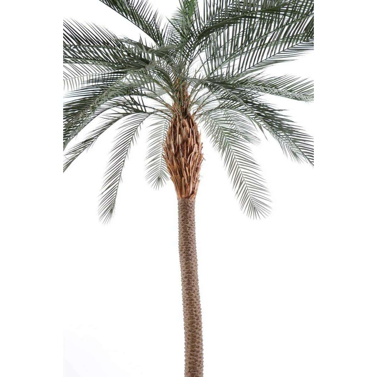 Palmier artificiel Phoenix tronc large - arbre pour extérieur - H.280cm vert - P