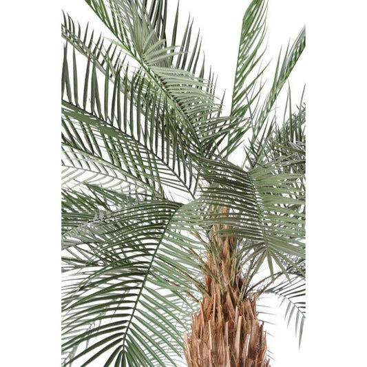 Palmier artificiel Phoenix tronc large - arbre pour extérieur - H.340cm vert