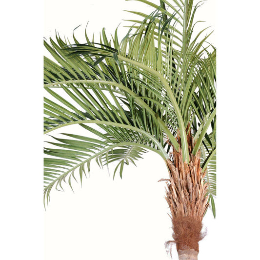 Palmier coconut courbe new - plante artificielle d'intérieur - H.400cm
