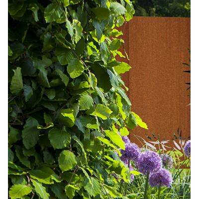 Panneau Acier Corten rouille - décoration jardin terrasse - H.180x110cm