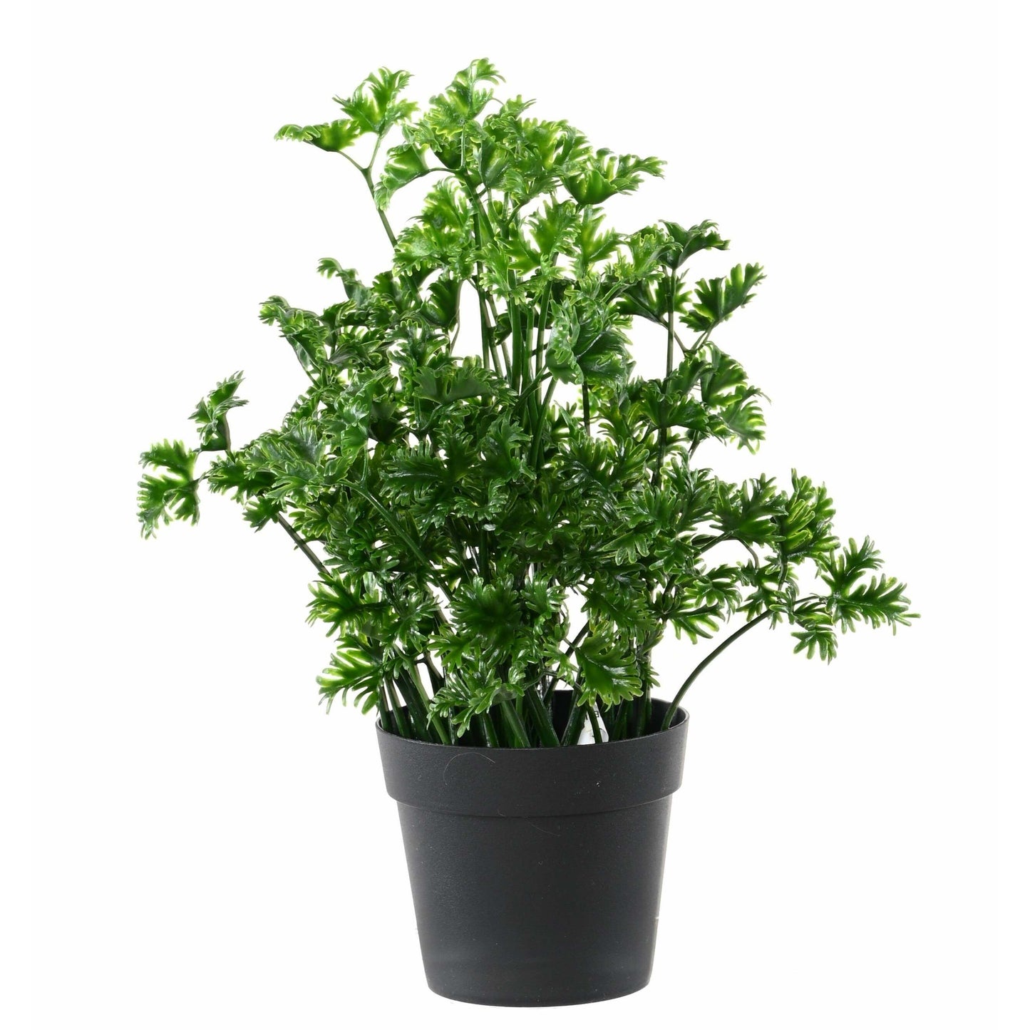 Plante artificielle de Persil en pot - décoration d'intérieur et extérieur - H. 25 cm- Vert - O4