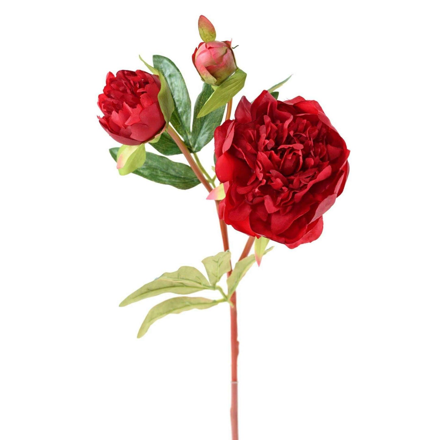 Pivoine artificielle 2 fleurs - création de bouquet composition - H.50cm rouge SHOW