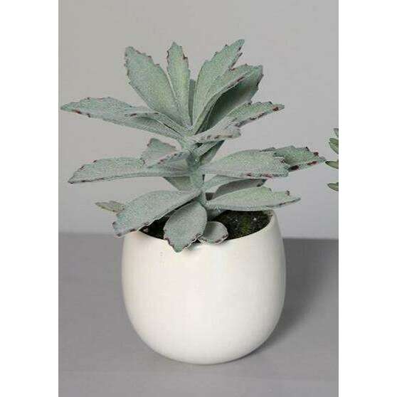 Plante artificielle 3 succulentes en pot blanc - cactus d'intérieur - H.15cm