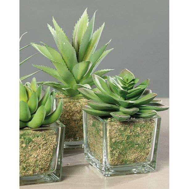 Plante artificielle 6 succulentes avec pots en verre - cactus d'intérieur - H.16cm