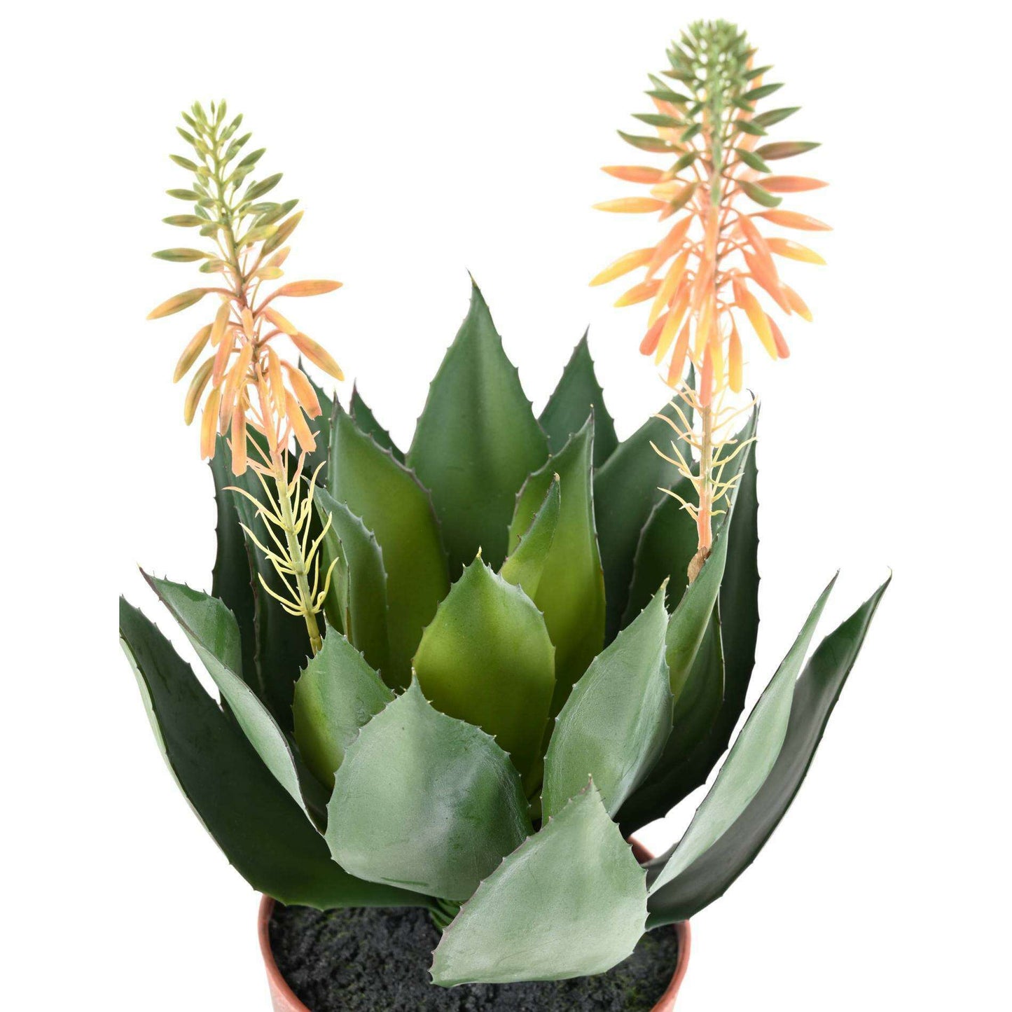 Plante artificielle Agave fleurie en pot - cactus artificiel intérieur - H.50cm vert