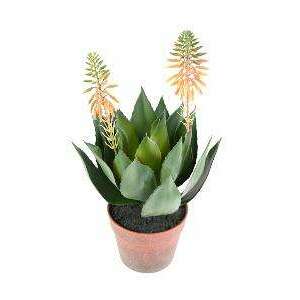 Plante artificielle Agave fleurie en pot - cactus artificiel intérieur - H.50cm vert