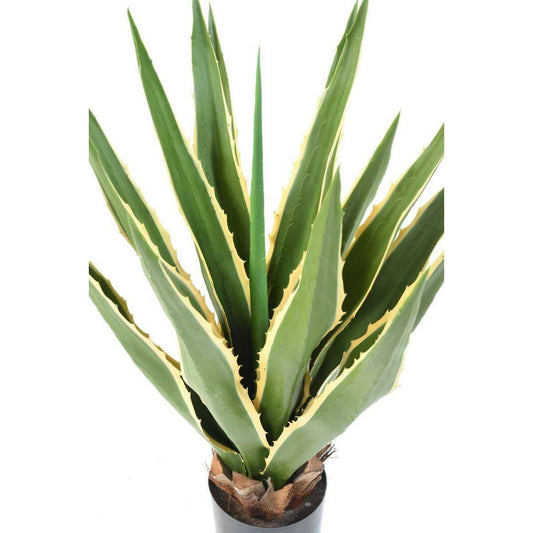 Plante artificielle Agave Furcraea - intérieur extérieur - H. 80cm vert jaune