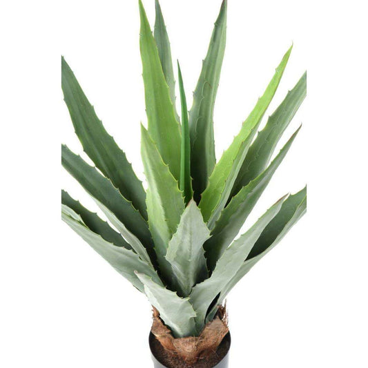 Plante artificielle Agave Furcraea - intérieur extérieur - H.80cm vert
