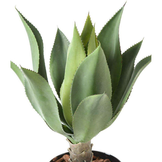 Plante artificielle Agave tige de plantation - cactus pour intérieur - H.60cm