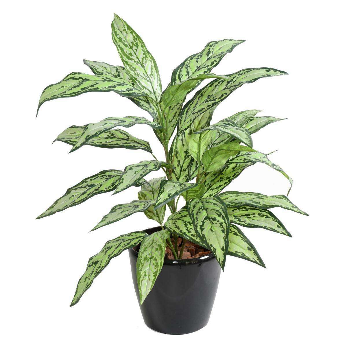 aglaonema artificiel Plante artificielle Aglaonema en piquet -plante d'intérieur