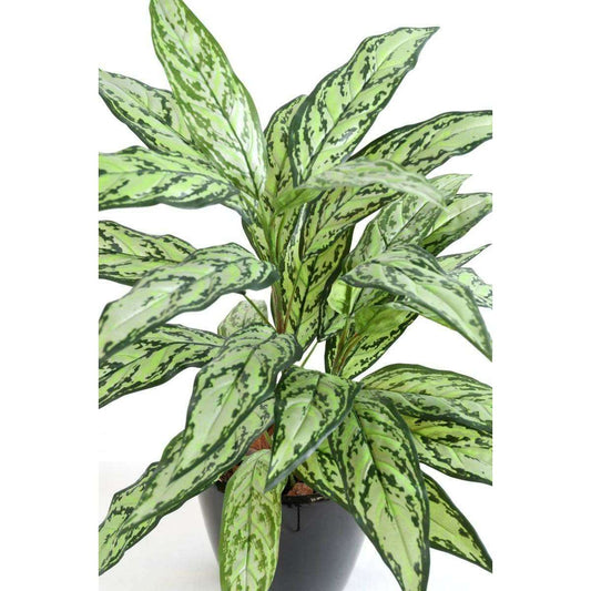 Plante artificielle Aglaonema en piquet -plante d'intérieur - H.80cm vert