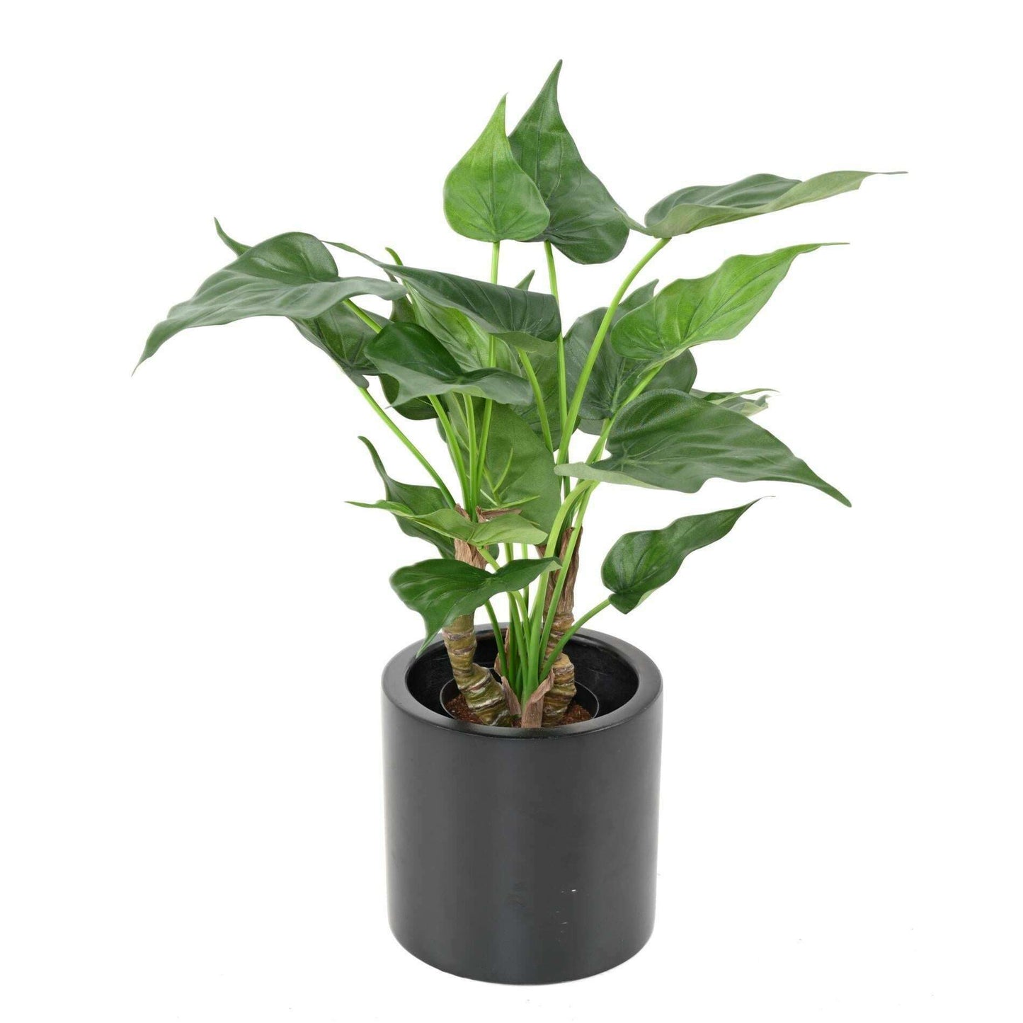 Plante artificielle Alocasia Cucullata - plante tropicale d'intérieur - H.50cm
