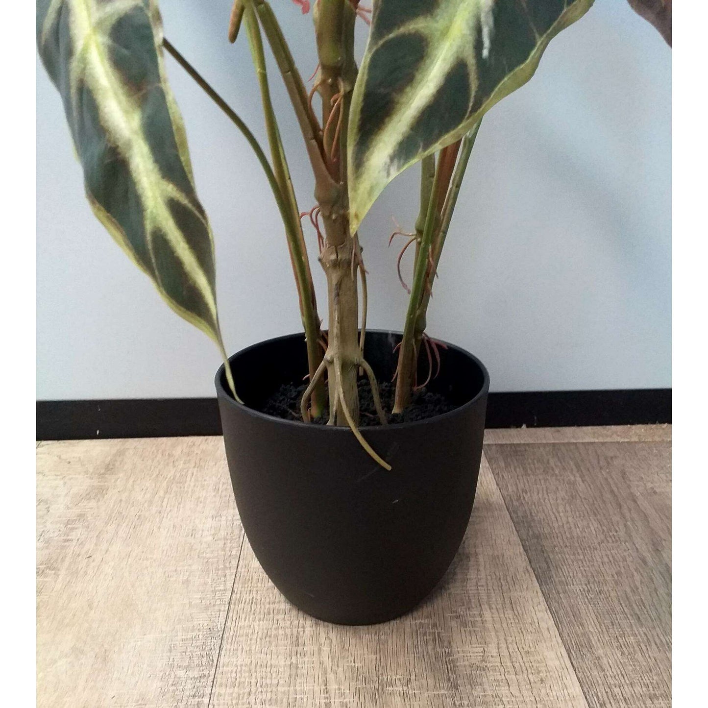 Plante artificielle Alocasia en pot - plante d'intérieur - H.75cm vert foncé