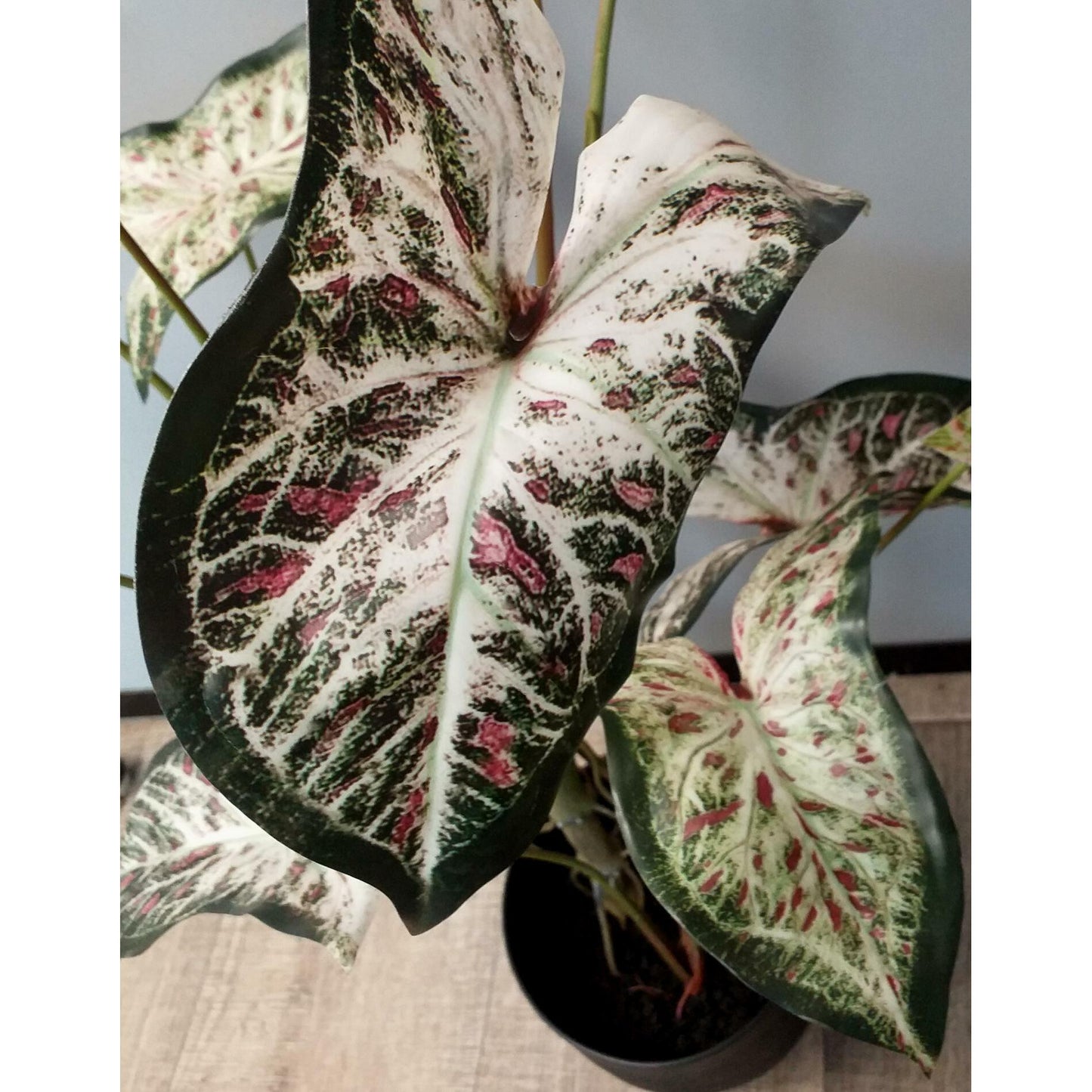 Plante artificielle Alocasia en pot - plante d'intérieur - H.75cm vert rouge