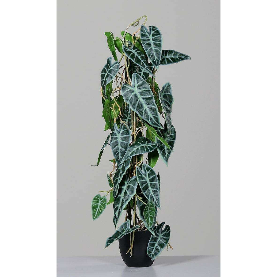 Plante artificielle Alocasia en pot - plante verte d'intérieur - H.80cm