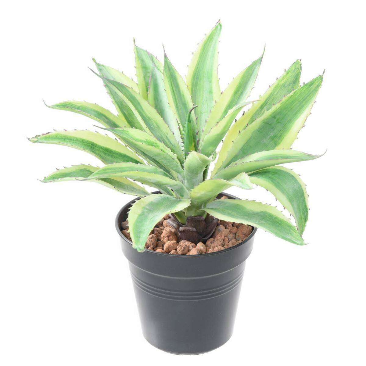 Plante artificielle Aloe en piquet - cactus artificiel intérieur - H.27cm vert jaune A2