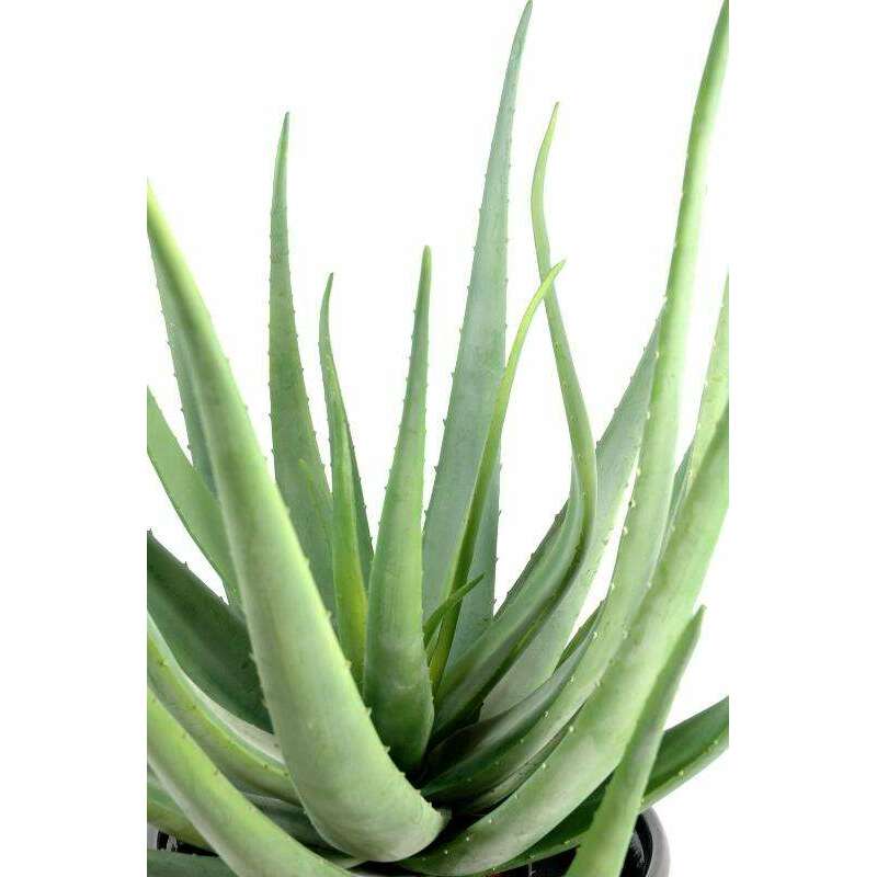 Plante artificielle Aloe vera en pot - cactus pour intérieur extérieur - H.55cm - W