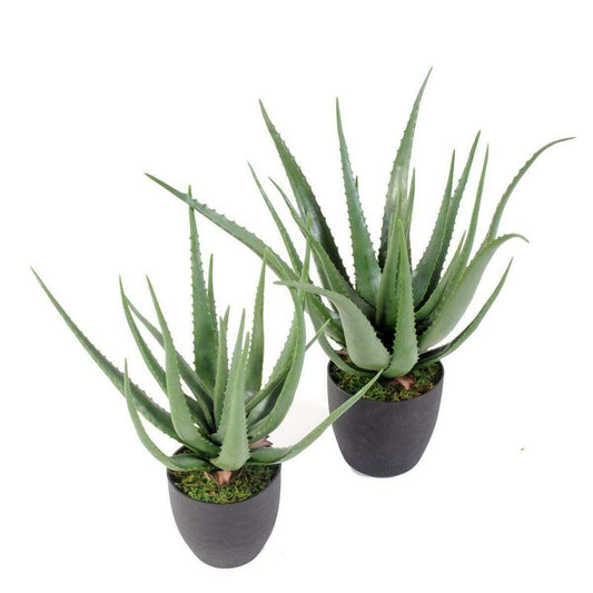 Plante artificielle Aloe vera en pot - plante pour intérieur - H.60cm vert