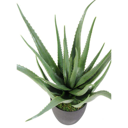 Plante artificielle Aloe vera en pot - plante pour intérieur - H.70cm vert