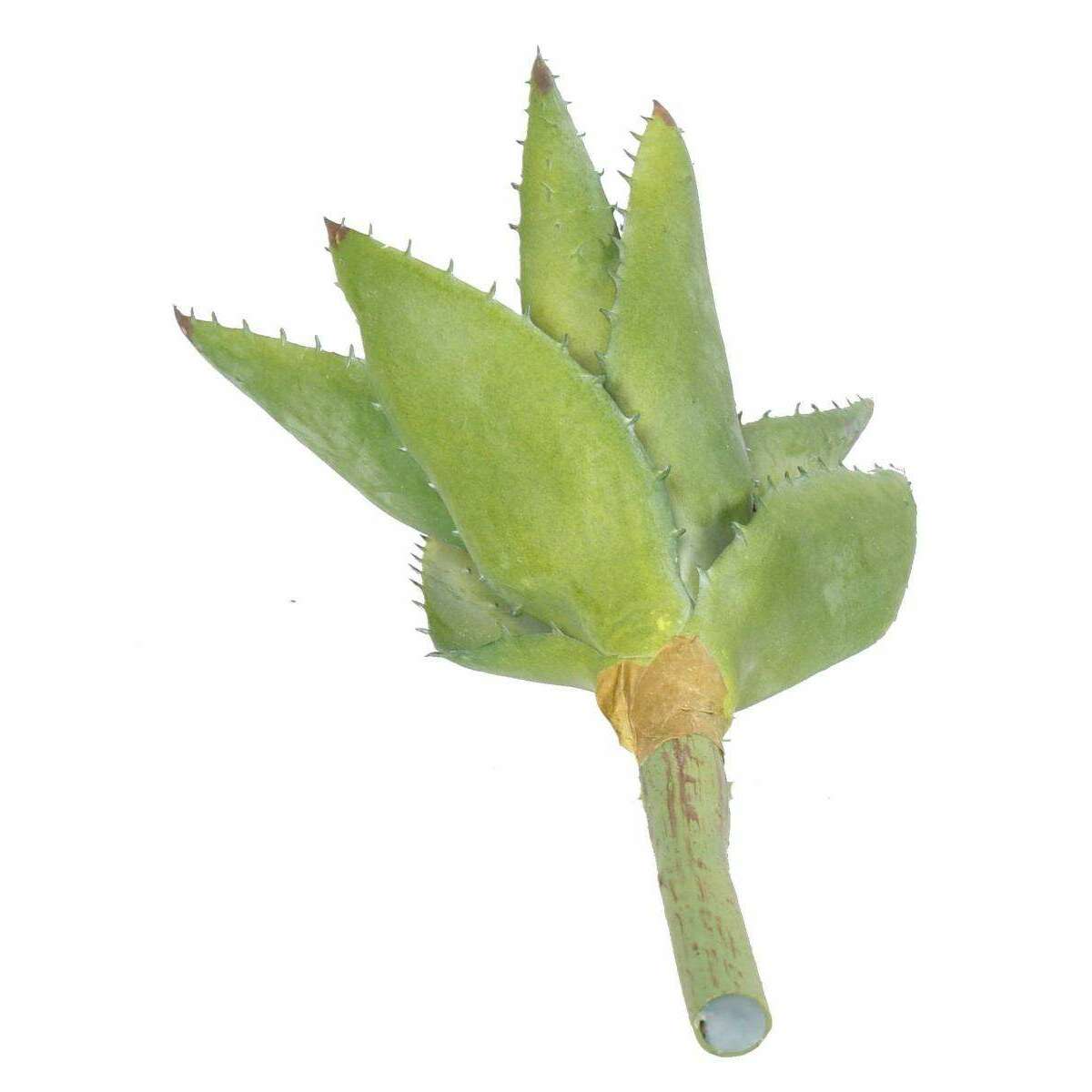 Plante artificielle Aloevera en piquet - cactus artificiel 12 feuilles - H.26cm vert - A2