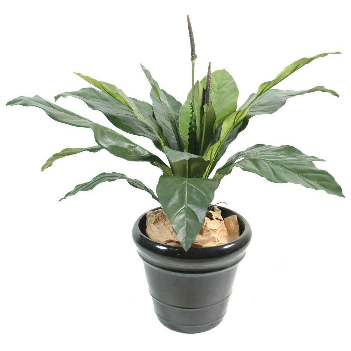 anthurium fleurs vertes Plante artificielle Anthurium jungle king - décoration d'intérieur