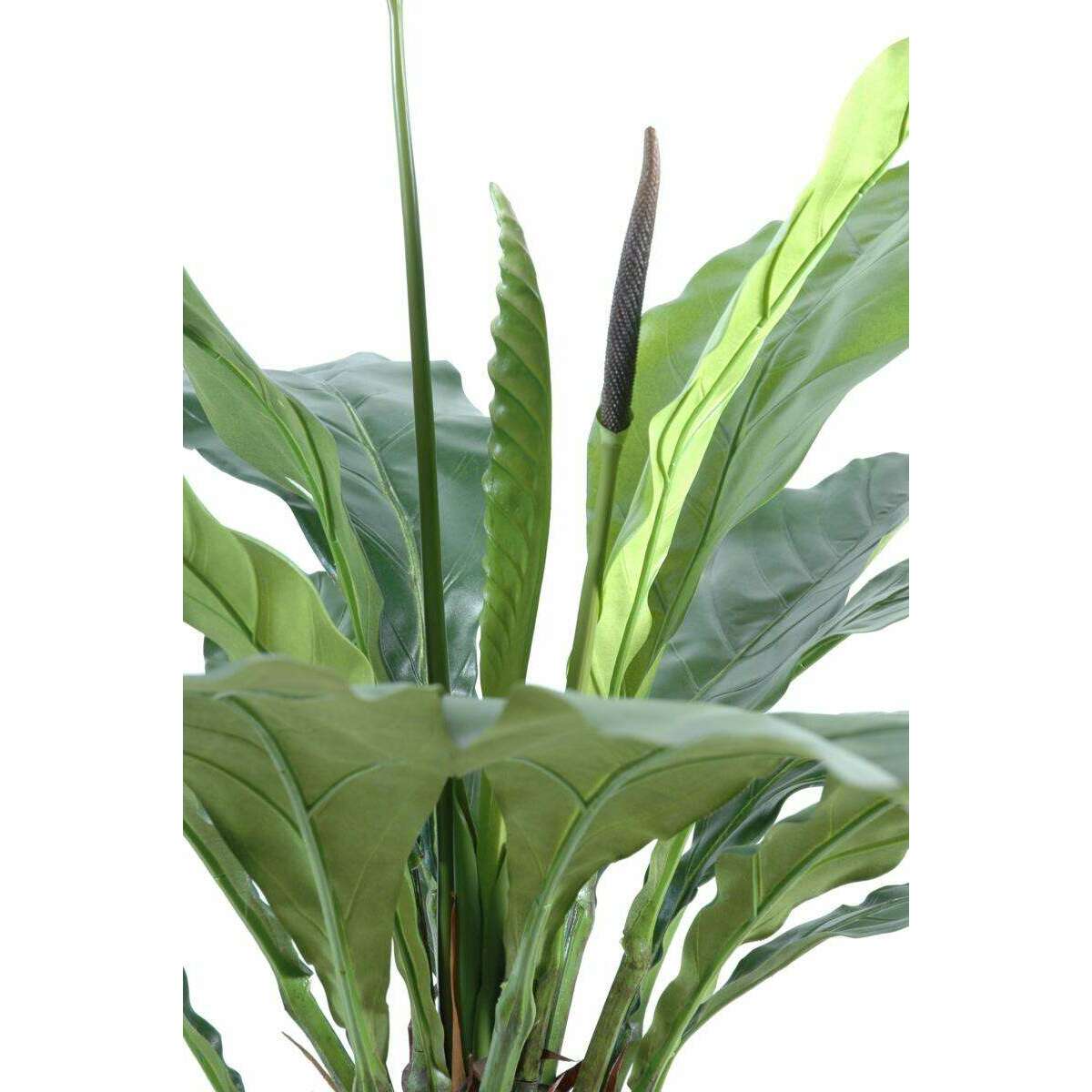 Plante artificielle Anthurium jungle king - décoration d'intérieur - H.80cm vert - X