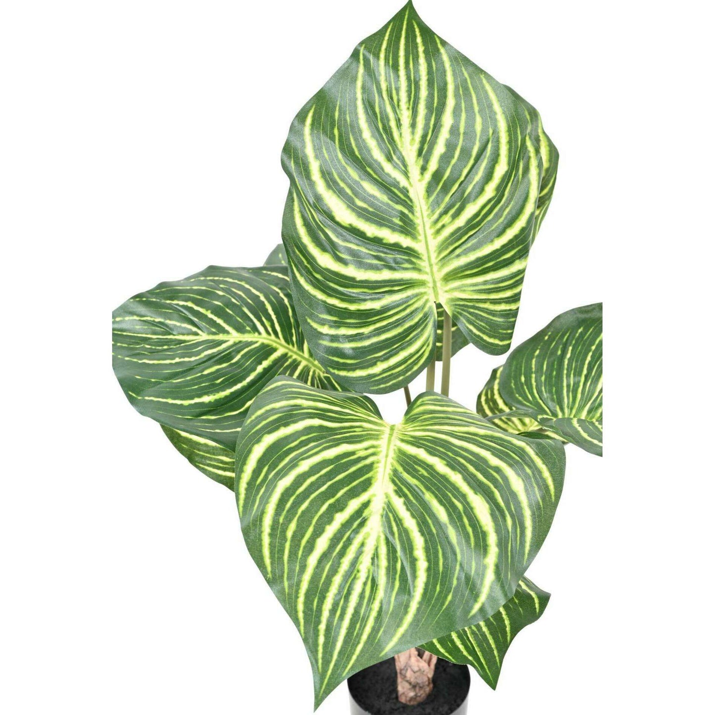 Plante artificielle Aphelandra large en pot - plante zèbre - H.70cm panaché