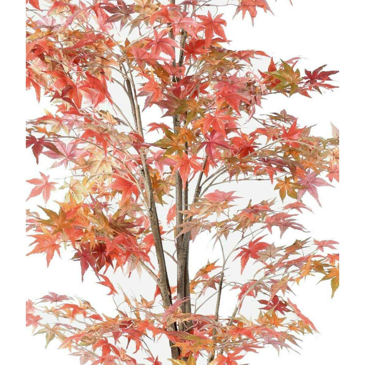 Plante artificielle Aralia automne - arbre synthétique pour intérieur - H.220cm