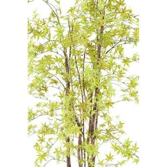 Plante artificielle Aralia Plastique UV (érable) - intérieur extérieur - H.180cm vert